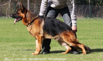 ZELLO von der Neudenauer Holzsteige