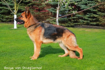 Roxya von Stieglerhof