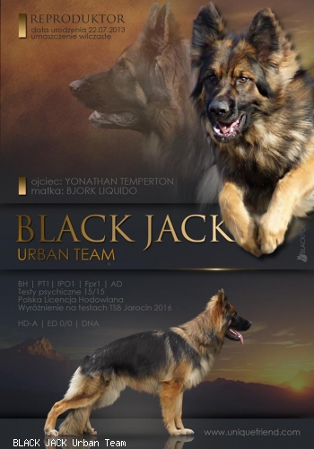 BLACK JACK Urban Team