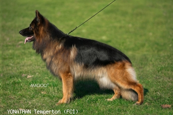 YONATHAN Temperton (FCI)