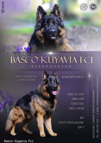Basco Kuyavia Fci