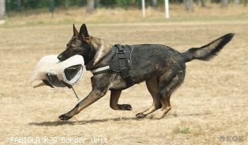 FABIOLA K-9 Border Unit