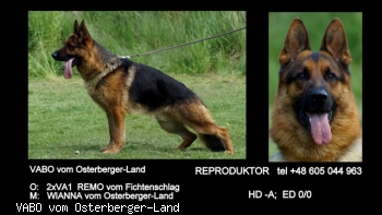 VABO vom Osterberger-Land