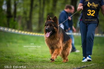 SOLO Eskorta