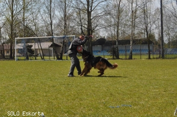 SOLO Eskorta