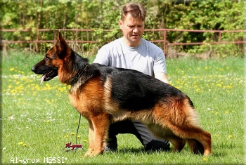 Al-grom MESSI